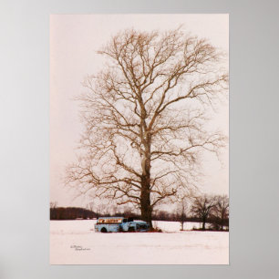 Affiches Vieux camion-citerne classique Sycamore arbre Post