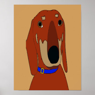 Affiches Vieux Dachshund