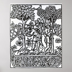 Affiches Vignes