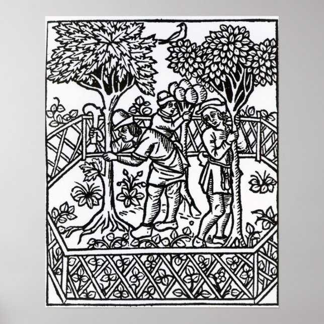 Affiches Vignes (Devant)