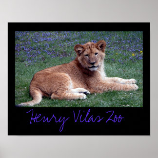 Affiches Vilas Zoo Club