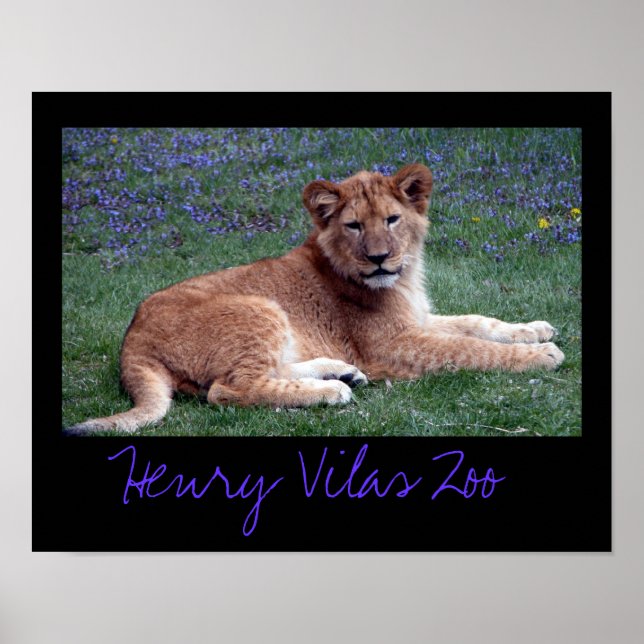 Affiches Vilas Zoo Club (Devant)