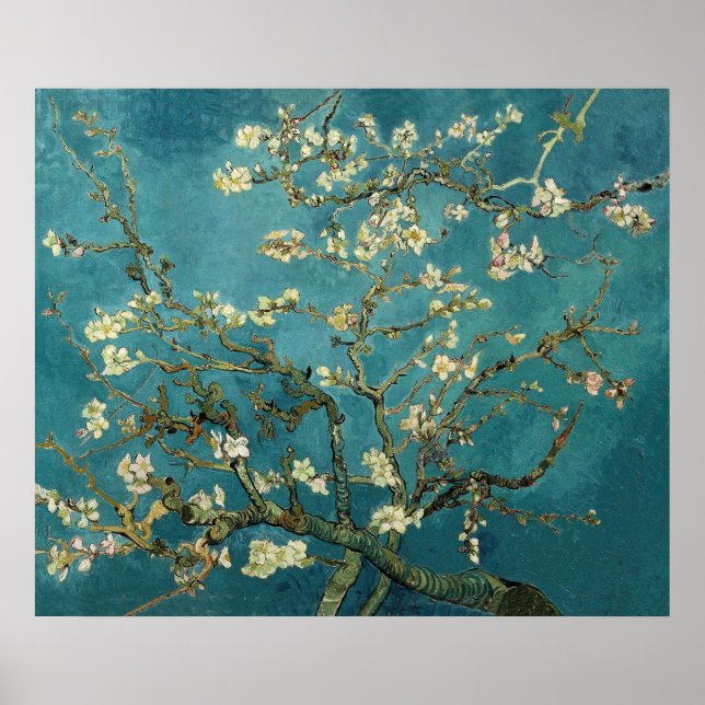 Affiches Vincent Van Gogh - Arbre d'amandiers en fleurs (Devant)