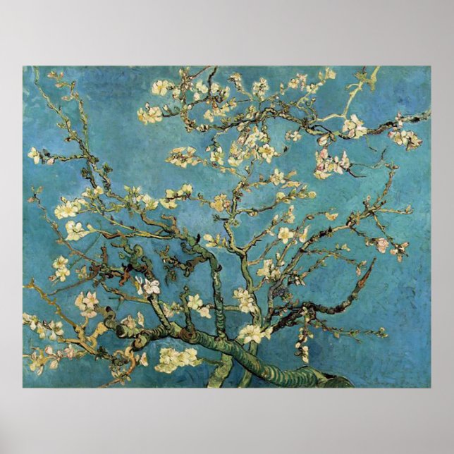 Affiches Vincent van Gogh Branches avec Fleur d'amandes (Devant)