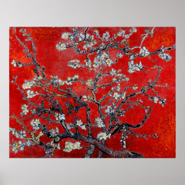 Affiches Vincent van Gogh ~ Branches Avec Fleur D'Amandes (Devant)