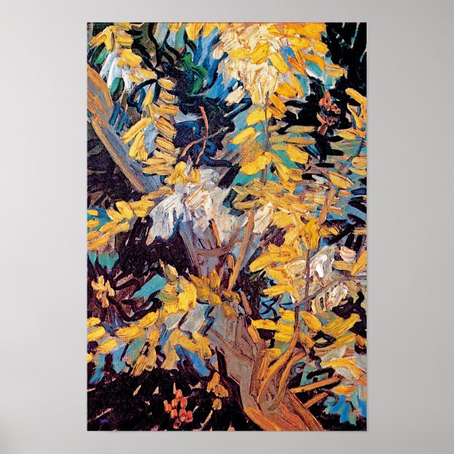 Affiches Vincent Van Gogh - Branches de l'acacia en florais (Devant)
