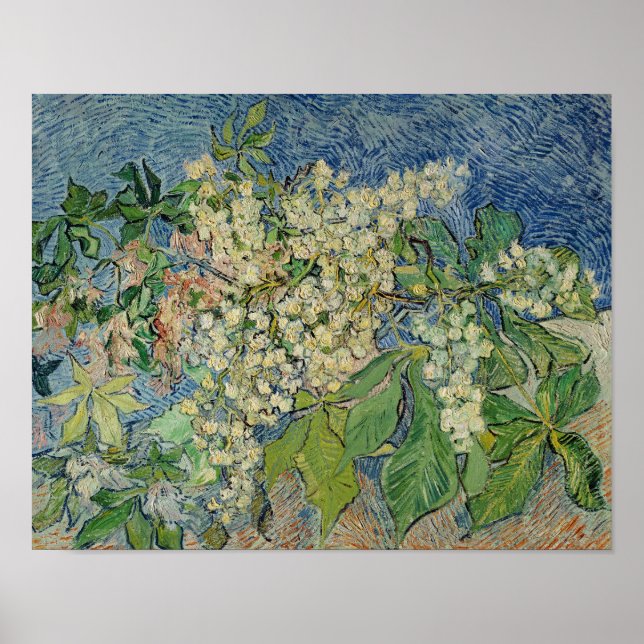 Affiches Vincent van Gogh | Branches en fleurs de châtaigni (Devant)