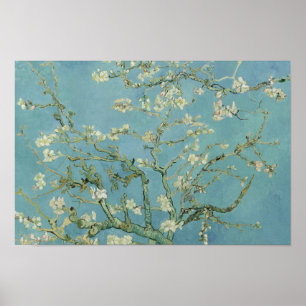 Affiches Vincent van Gogh - Fleur d'amandes