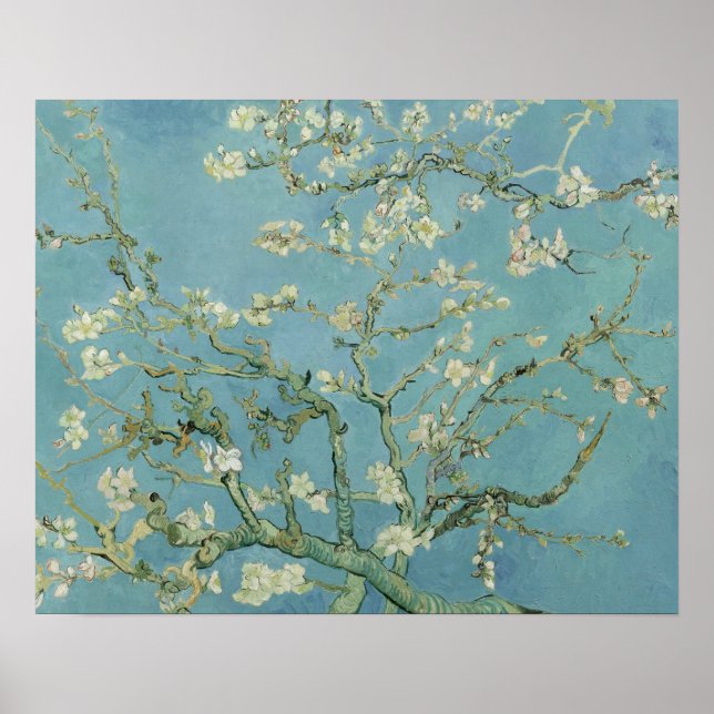 Affiches Vincent van Gogh - Fleur d'amandes (Devant)