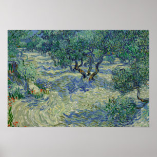 Affiches Vincent van Gogh - Olive Orchard