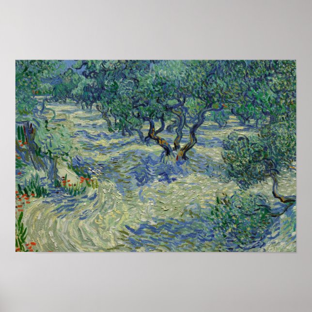 Affiches Vincent van Gogh - Olive Orchard (Devant)