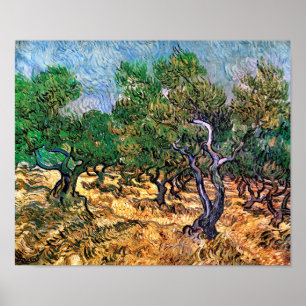 Affiches Vincent Van Gogh - Oliveraie Beaux-Arts
