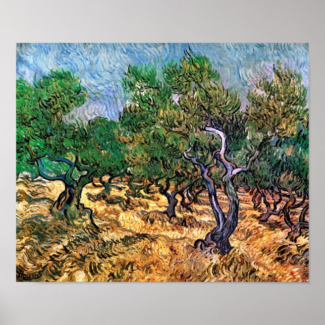 Affiches Vincent Van Gogh - Oliveraie Beaux-Arts (Devant)