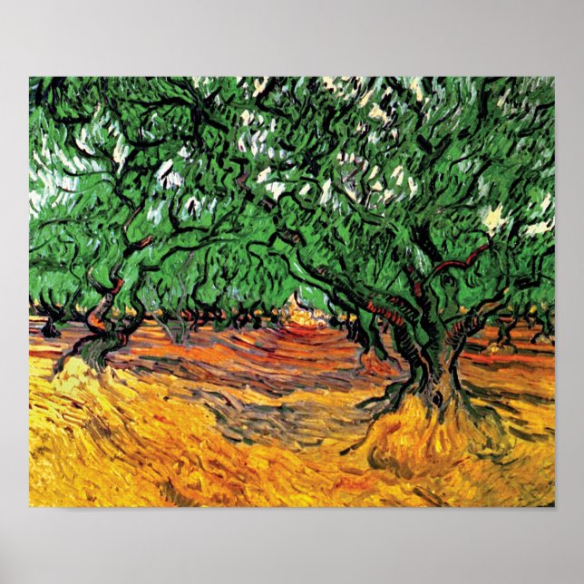 Affiches Vincent Van Gogh - Oliviers Beaux-Arts (Devant)