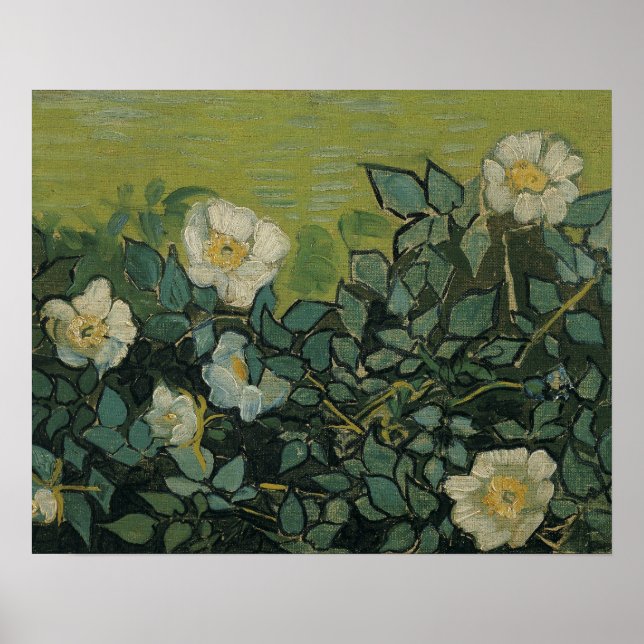 Affiches Vincent van Gogh - Wild Roses (Devant)