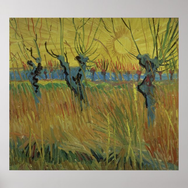 Affiches Vincent van Gogh | Willows pollarisés Paramètre Su (Devant)