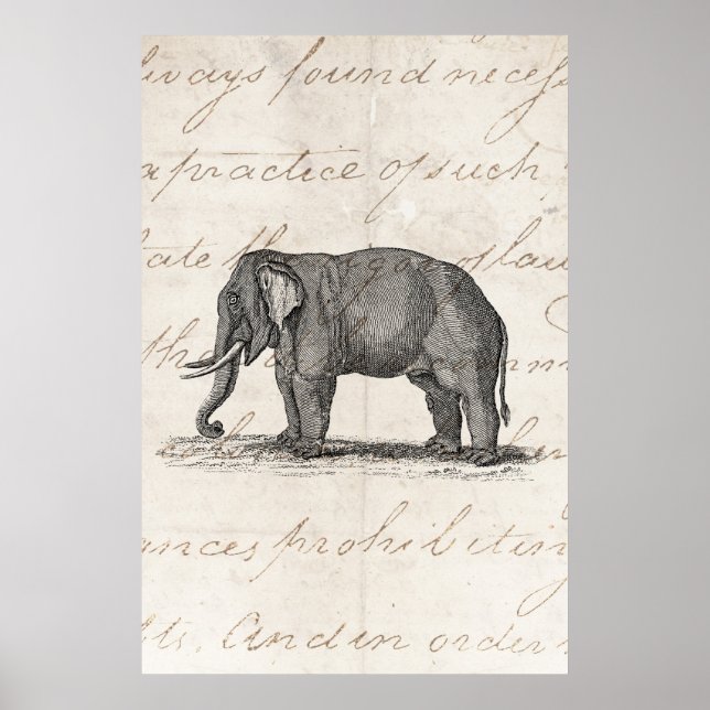 Affiches Vintage 1800s Elephant Illustration - Elephants (Devant)