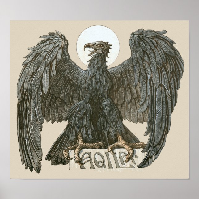 Affiches Vintage Art Nouveau Eagle, Birds of Prey (Devant)