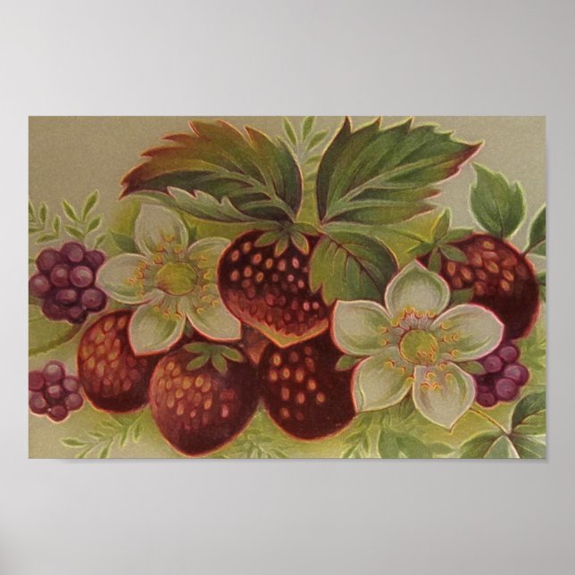 Affiches Vintage Berries (Devant)