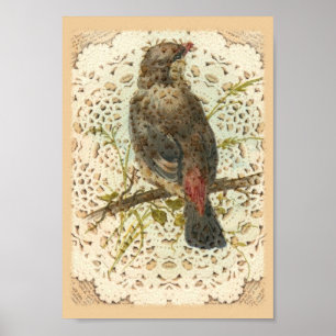 Affiches Vintage Bird and Doilie