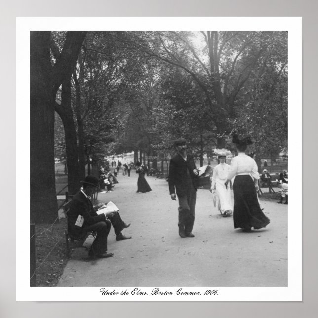 Affiches Vintage Boston Common, Under the Elms, USA (Devant)