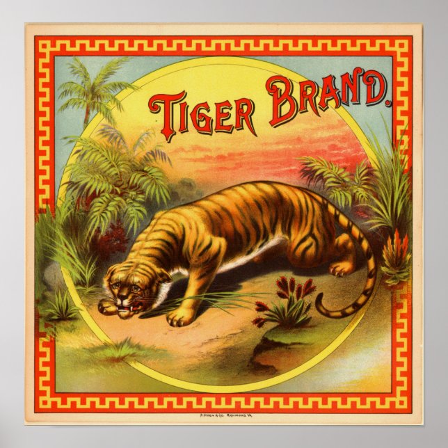 Affiches Vintage Cigar Advertisement: Tiger Brand (Devant)