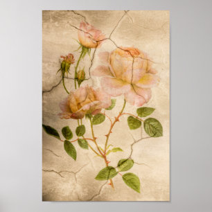Affiches Vintage Élégant Shabby Chic rose pâle Roses