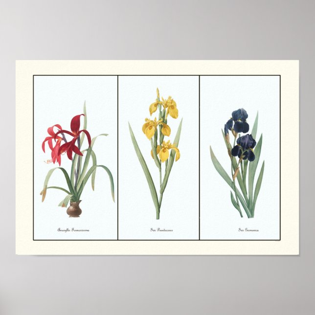 Affiches Vintage Floral Triptych Art Botanique Imprimer (Devant)