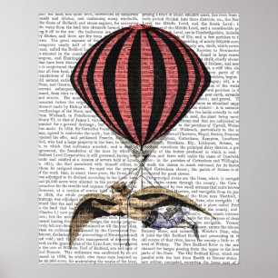 Affiches Vintage Flying Machine