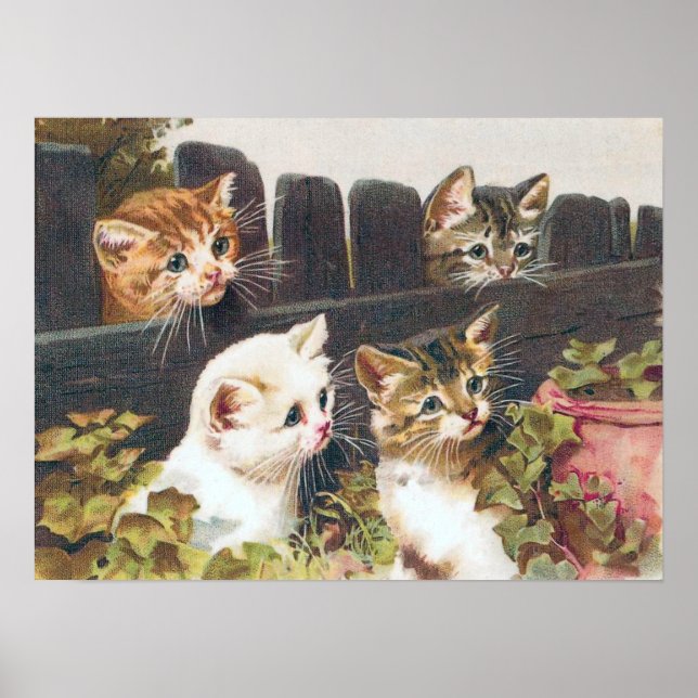 Affiches vintage "Four Kittens" (Devant)