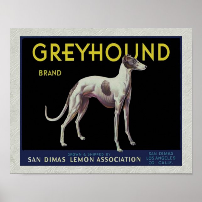 Affiches Vintage Greyhound Lemon Étiquette vers 1920 (Devant)