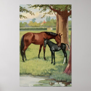 Affiches Vintage Mare Colt Filly Horse Image équestre