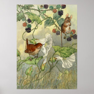 Affiches Vintage, Molly Brett Nature Art Bird, souris