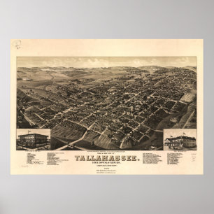 Affiches Vintage Pictorial Map of Tallahassee FL (1885)