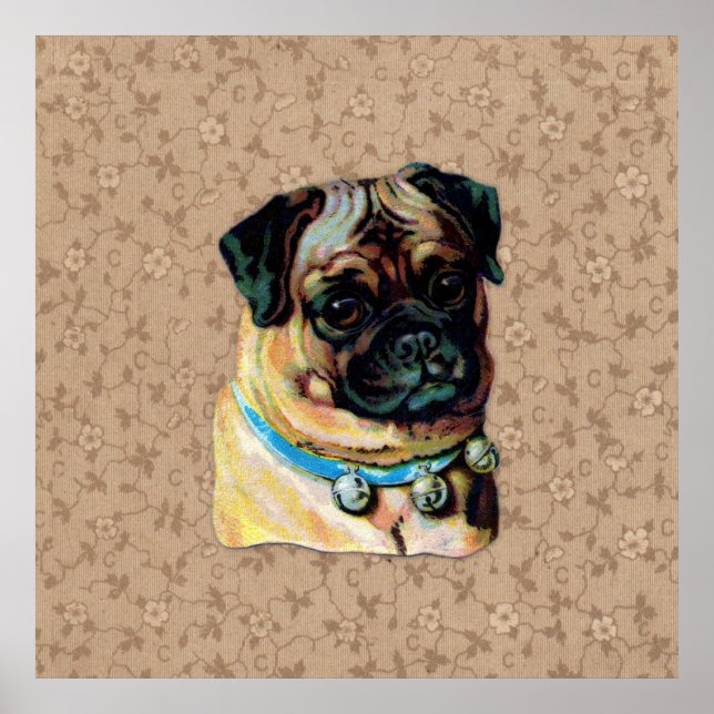 Affiches Vintage Pug Dog Print (Devant)