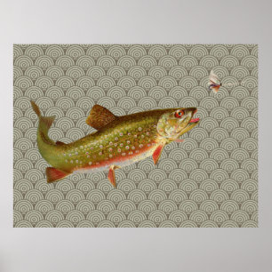 Affiches Vintage Rainbow Trout Fly Fishing
