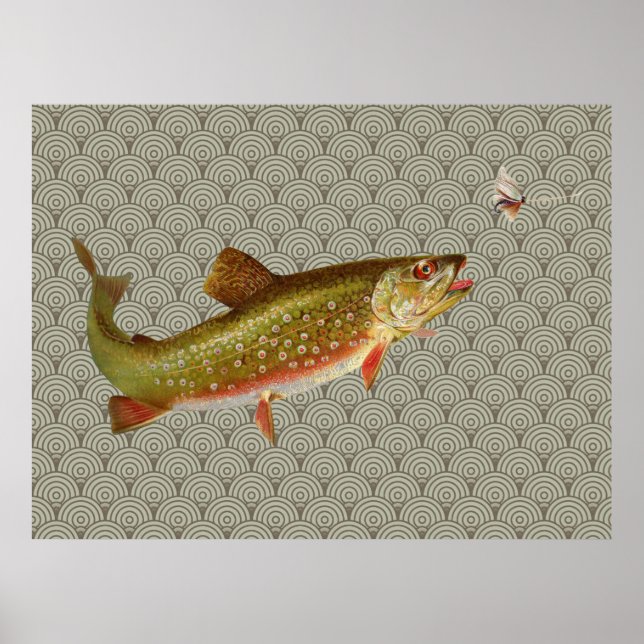Affiches Vintage Rainbow Trout Fly Fishing (Devant)