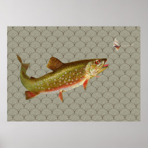 Affiches Vintage Rainbow Trout Fly Fishing