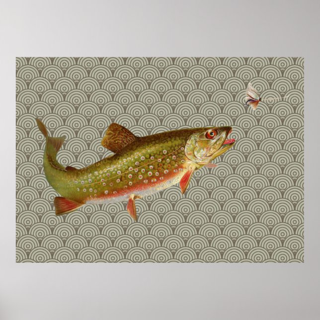 Affiches Vintage Rainbow Trout Fly Fishing (Devant)