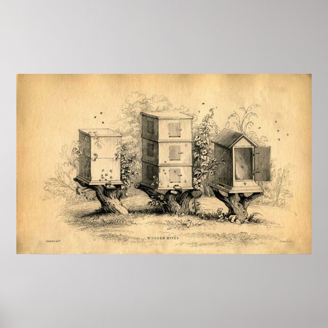 Affiches Vintage ruches apicoles Imprimer (Devant)