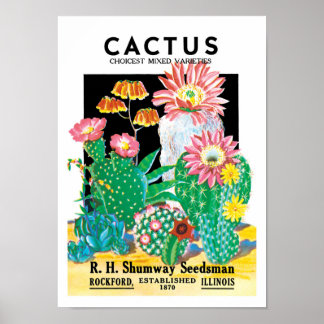 Affiches Vintage Seed Packet Étiquette Art Desert Cactus Pl