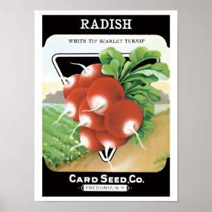 Affiches Vintage Seed Packet Label Art, Scarlet Radishes