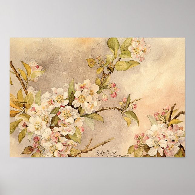 Affiches Vintage Spring Blossoms (Devant)