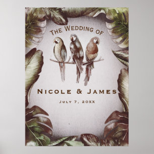 Affiches Vintage Tropical Tiki Birds Parrots Bannière Feuil