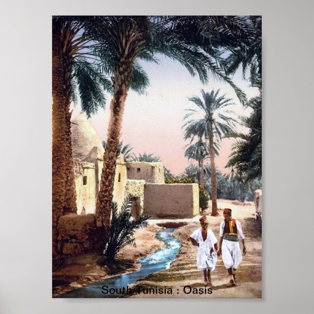 Affiches Vintage Tunisia : An Oasis (Devant)