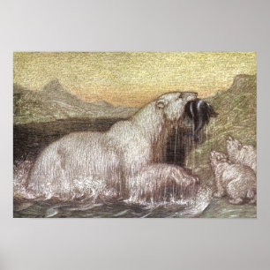 Affiches Vintage Wild Animals, Polar Bears by Louis Sargent