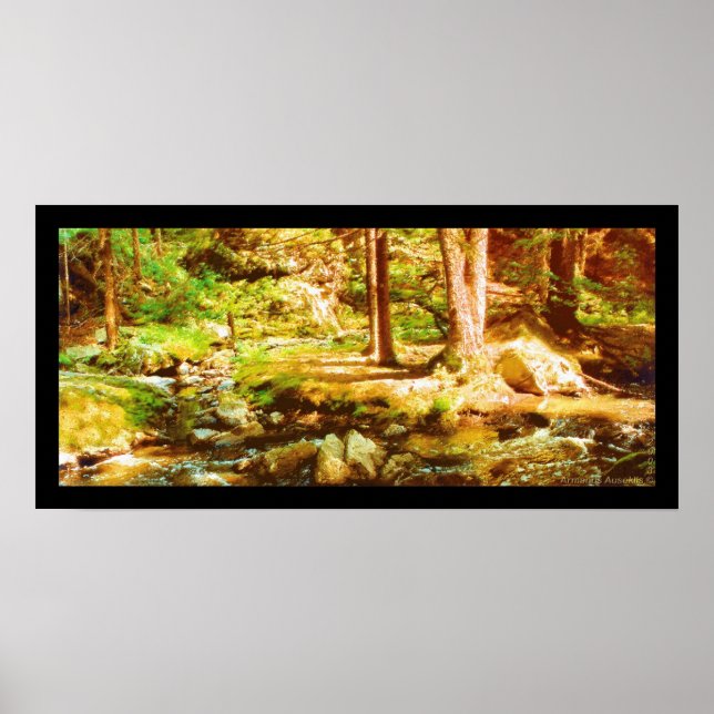 Affiches Virgin Whirl (Devant)