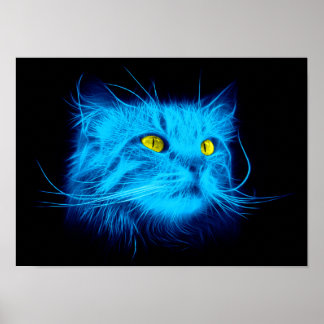 Affiches Visage de chat bleu