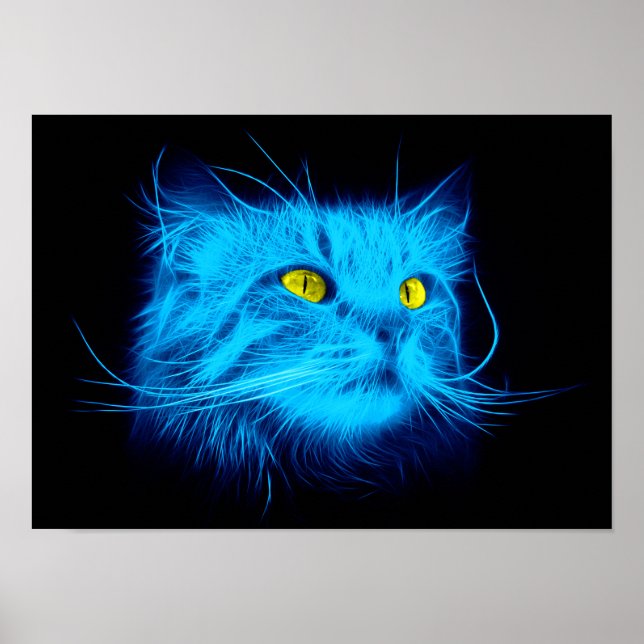 Affiches Visage de chat bleu (Devant)