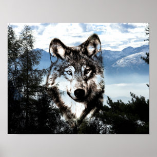 Affiches Visage de loup